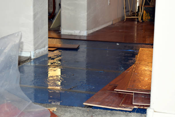 Professional Crawl Space Water Removal technician working in Chase, MI